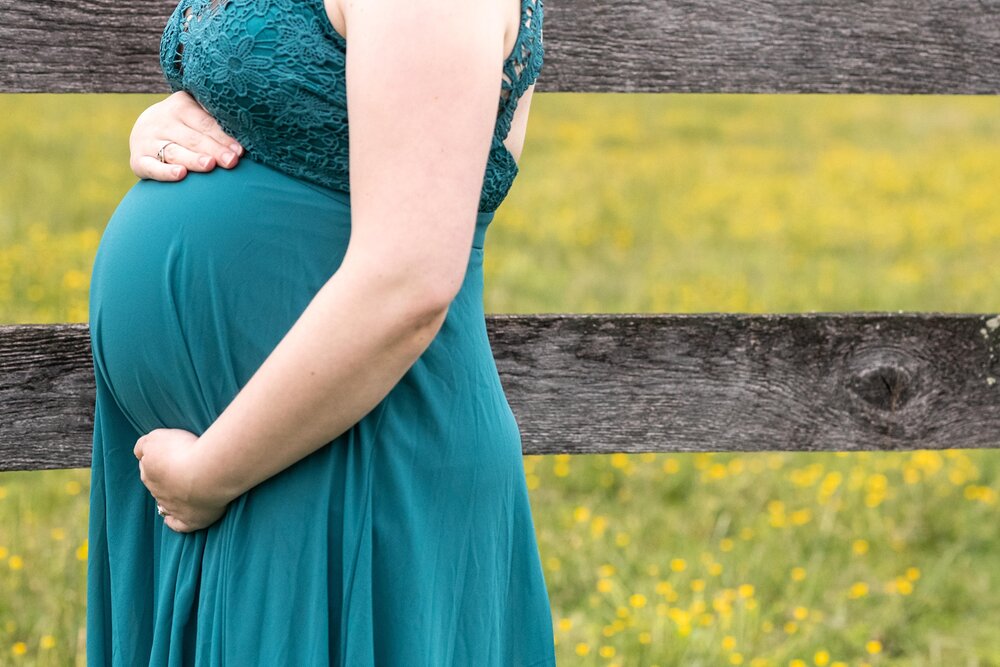 Frederick MD maternity portraits on a family farm near Lake Linganore by Wendy Zook Photography