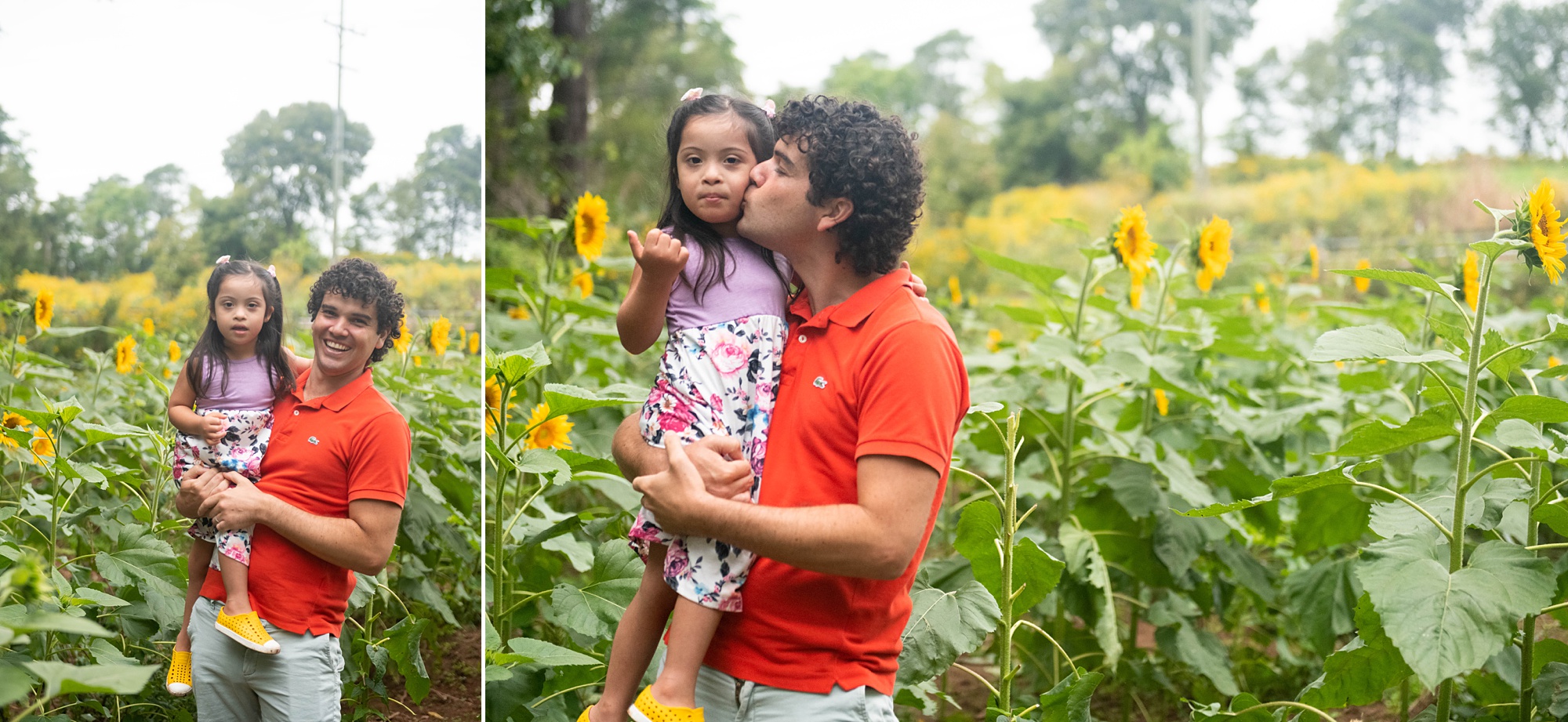 dad and daughter pose with sunflowers