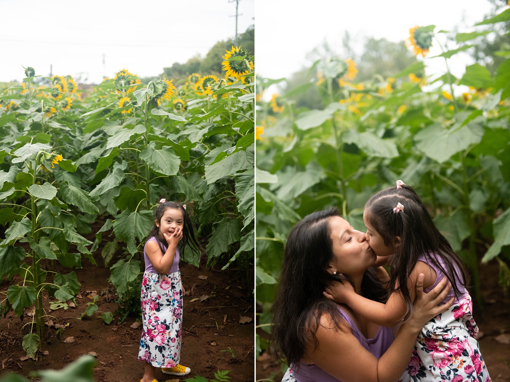 Frederick MD family session with sunflowers 