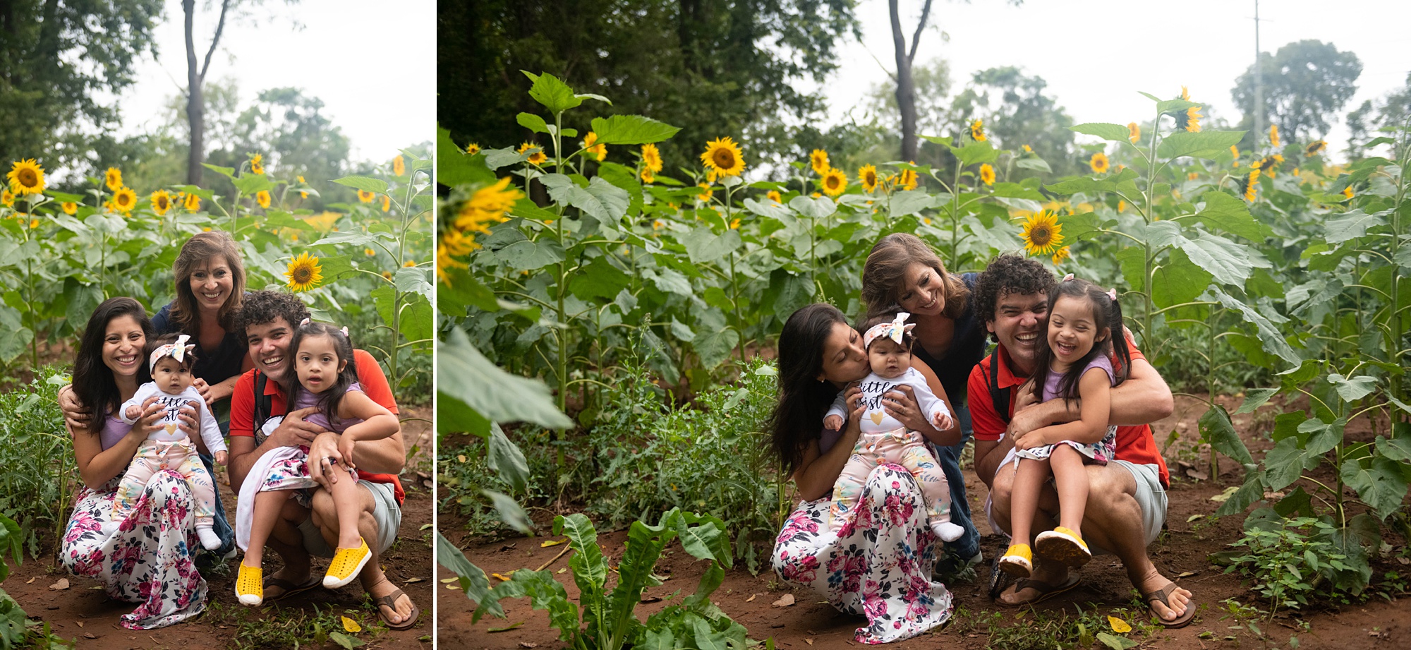Sunflower Photo Session with family of four and grandmother