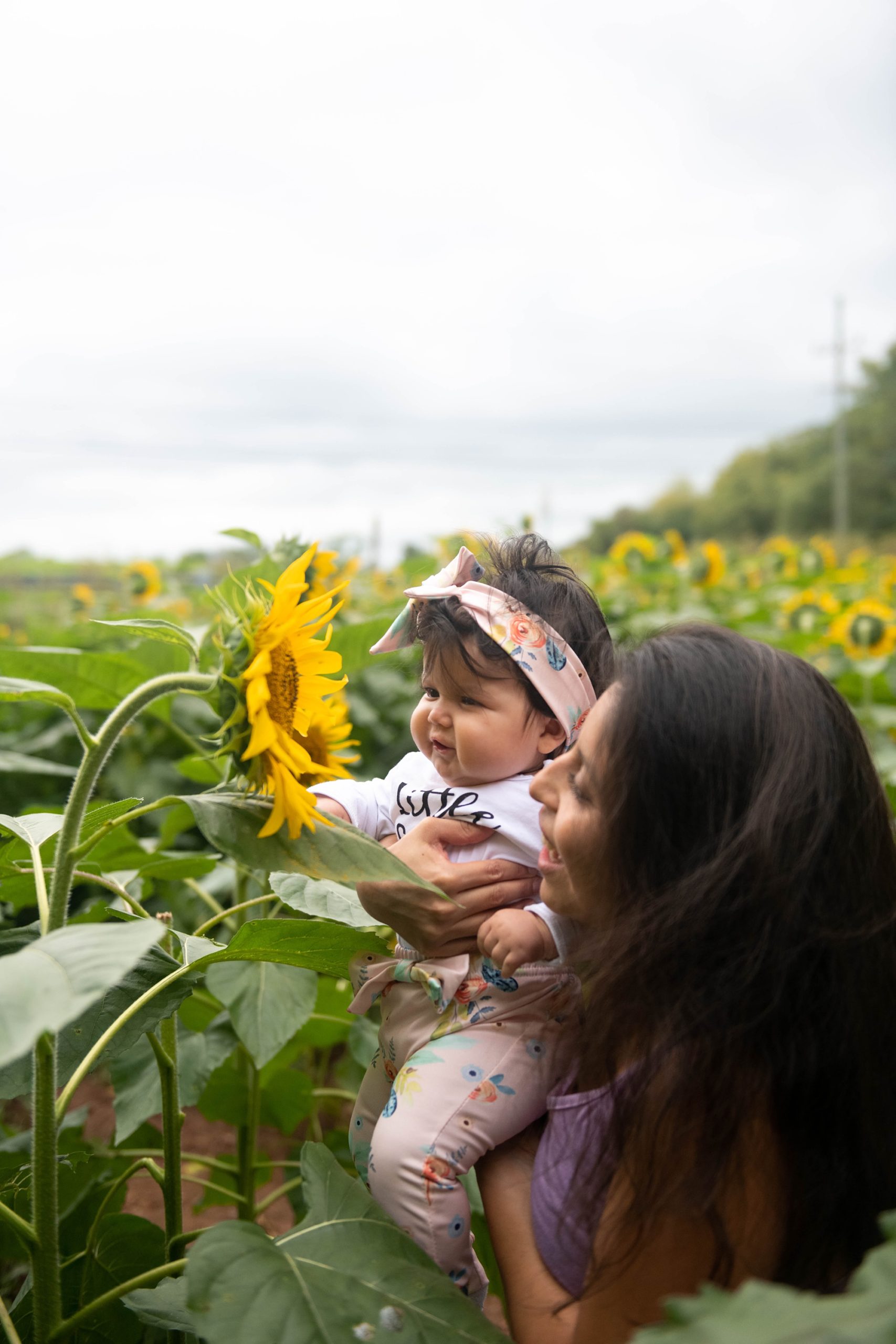 mom holds toddler up to sunflower 