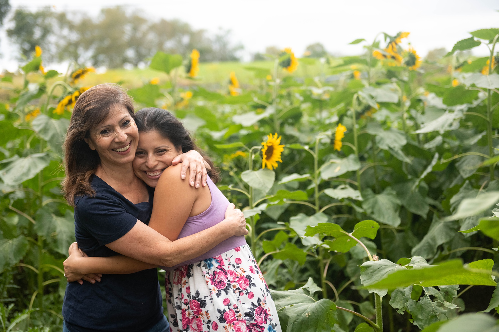 mom hugs adult daughter during Sunflower Photo Session