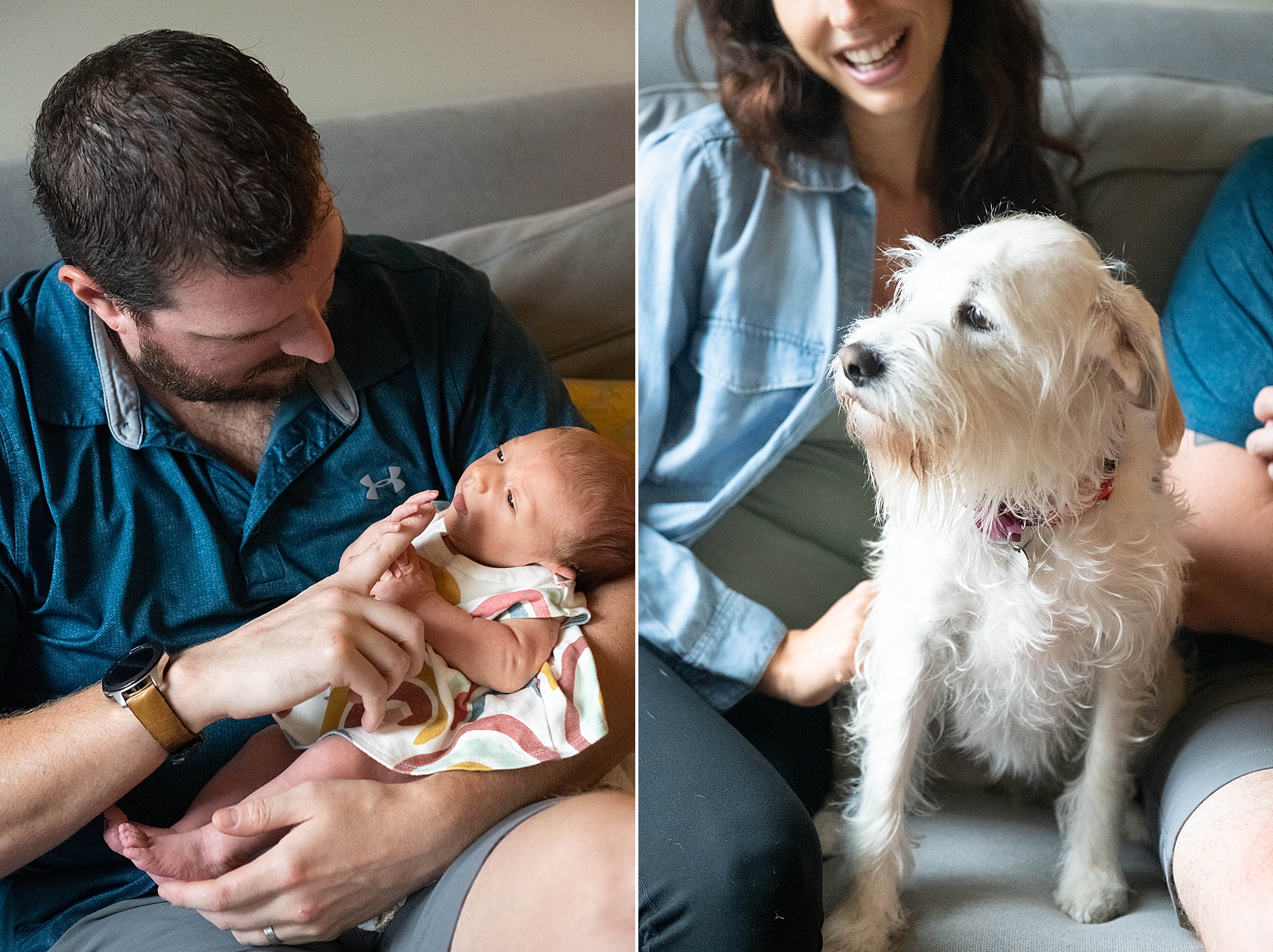 family sits on couch during Washington DC Lifestyle Newborn session with dog