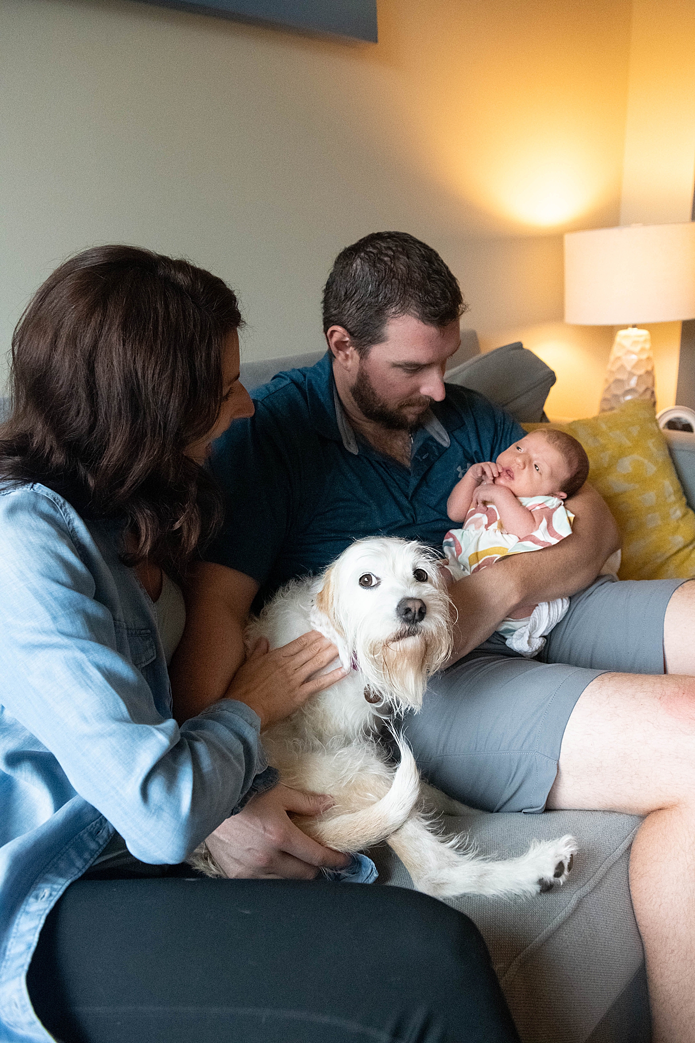 dog sits with owners as they look at new baby girl