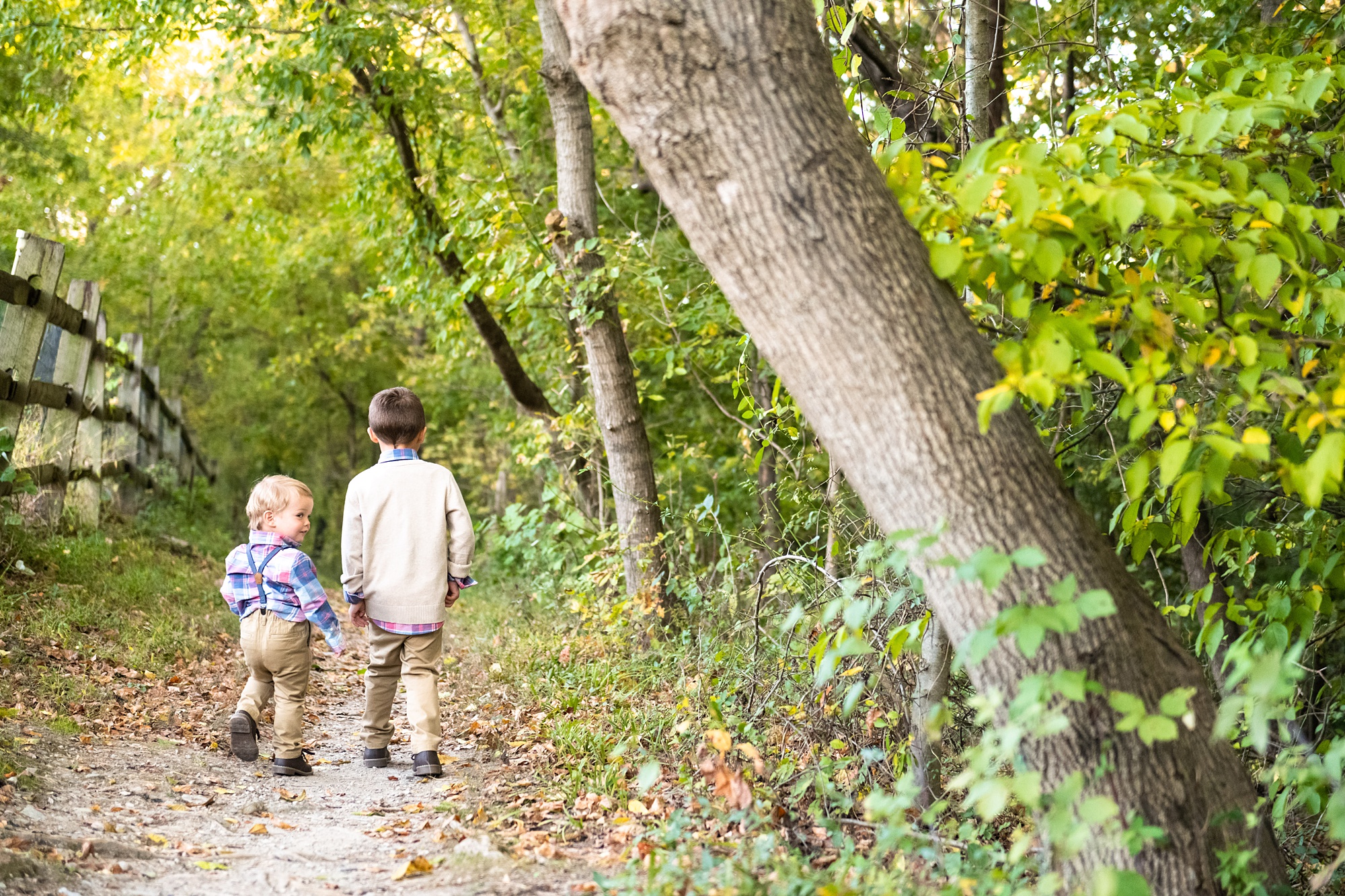 brothers walk through woods during Maryland family portraits