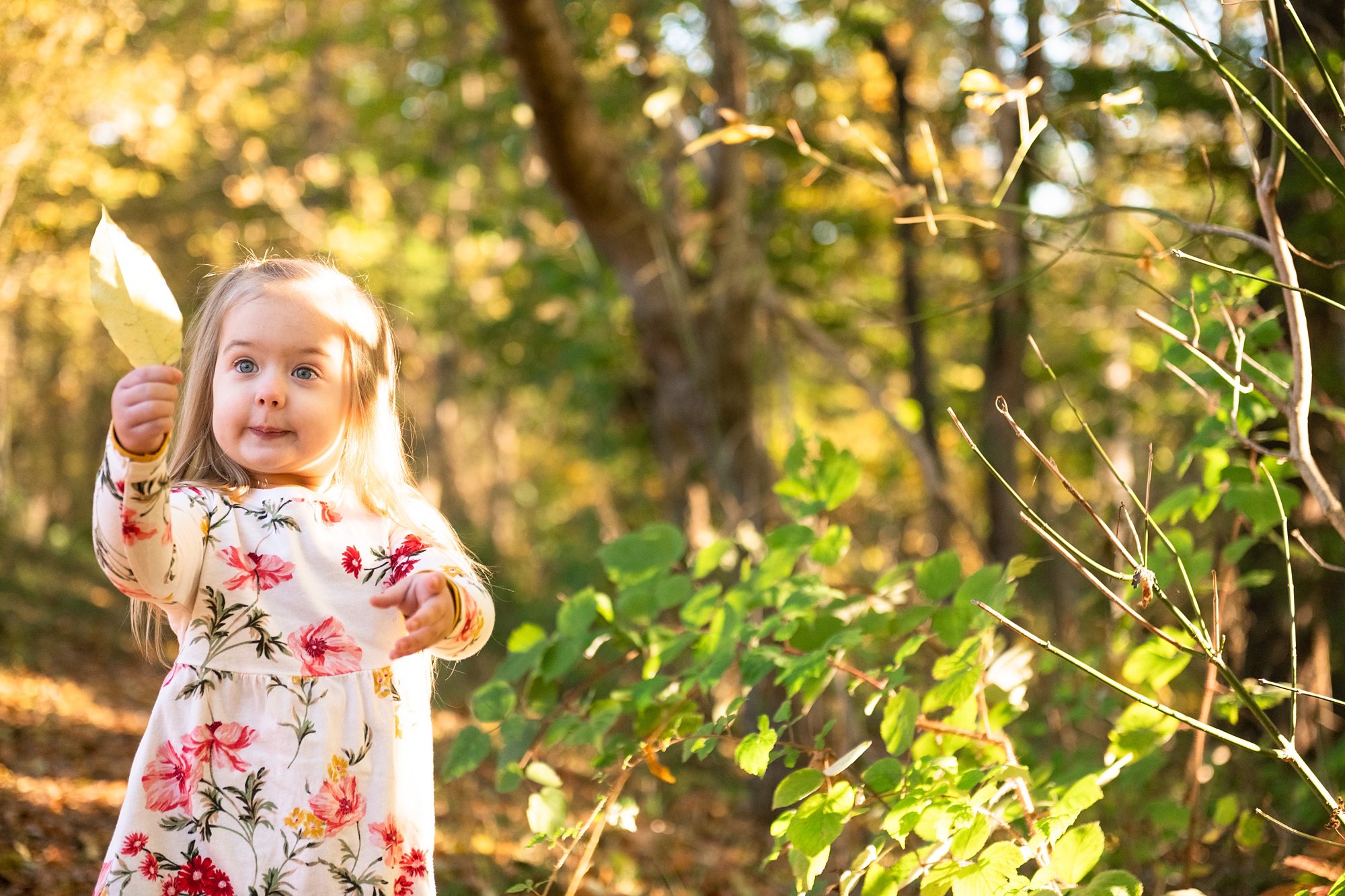 little girl plays with leaves during fall family photos