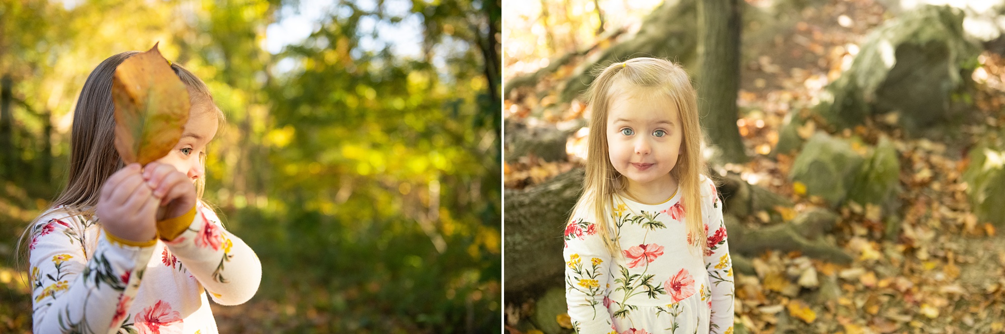 Frederick County family portraits with toddler and baby siste