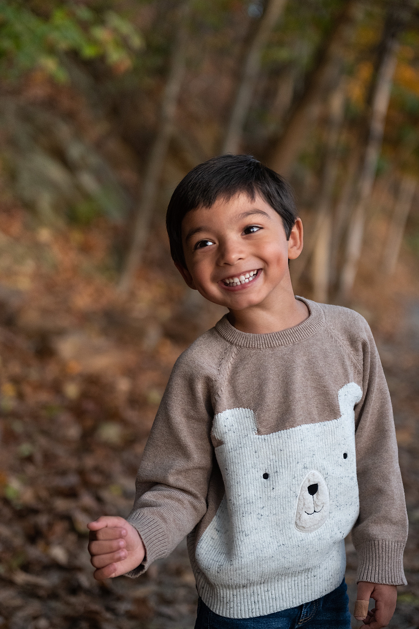 toddler in bear sweater poses during fall family photos