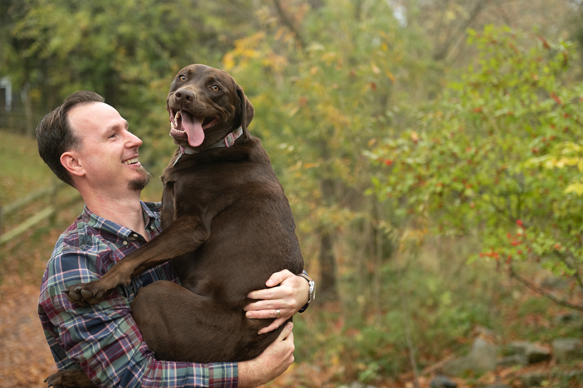 dad lifts family dog during family photos in Lake Lingnaore